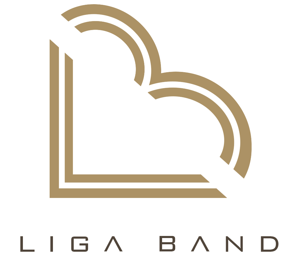 Novi Liga bend Logo